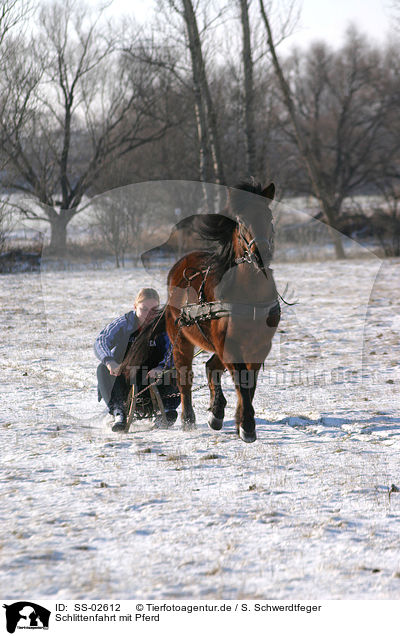 Schlittenfahrt mit Pferd / sledging with horse / SS-02612