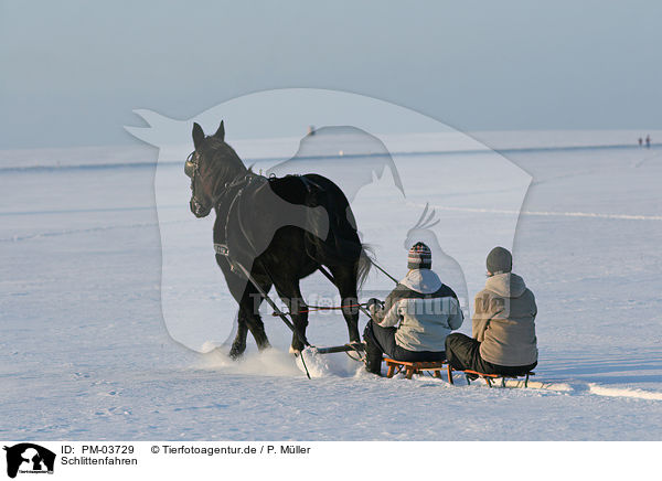 Schlittenfahren / tobogganing / PM-03729