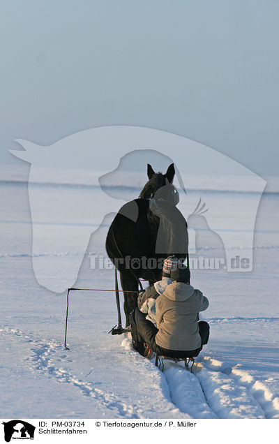 Schlittenfahren / tobogganing / PM-03734