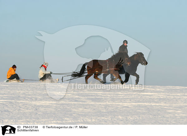 Schlittenfahren / tobogganing / PM-03738