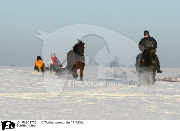 Schlittenfahren / tobogganing / PM-03739