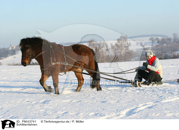 Schlittenfahren / tobogganing / PM-03741