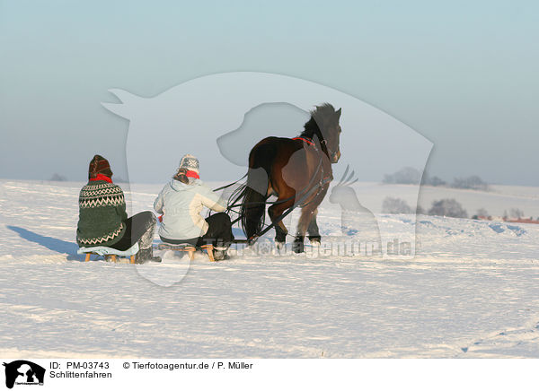 Schlittenfahren / PM-03743