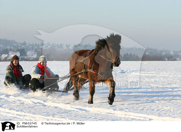 Schlittenfahren / tobogganing / PM-03745