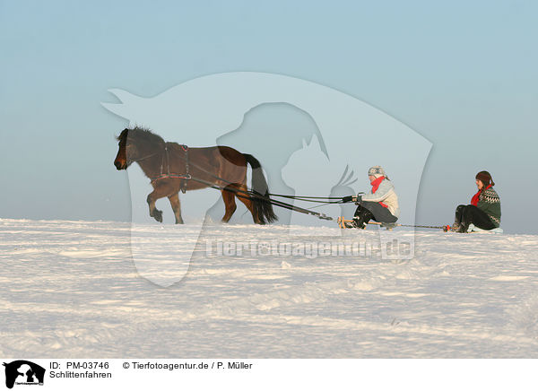 Schlittenfahren / tobogganing / PM-03746