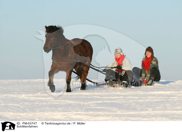 Schlittenfahren / tobogganing / PM-03747