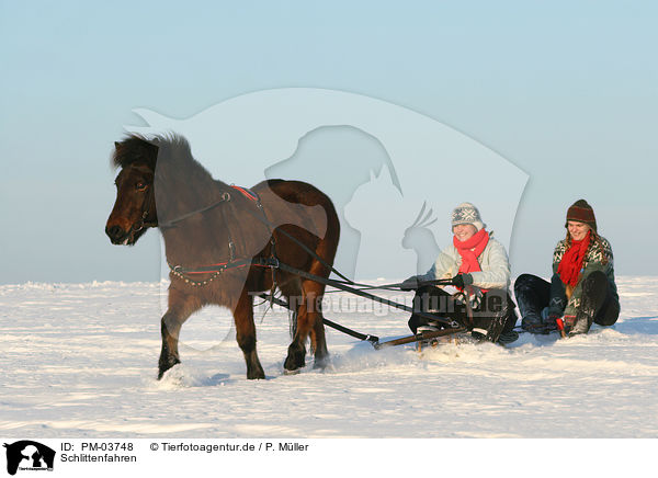 Schlittenfahren / tobogganing / PM-03748
