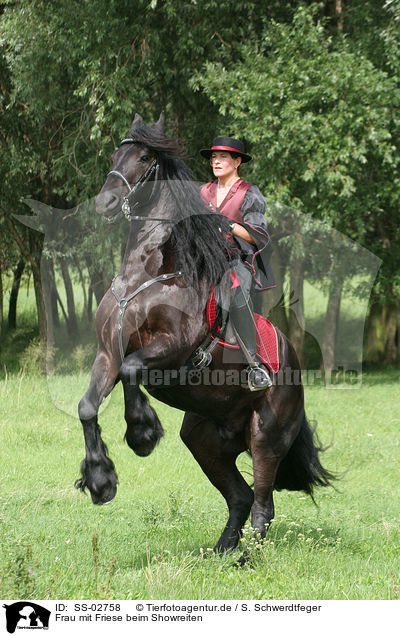 Frau mit Friese beim Showreiten / SS-02758