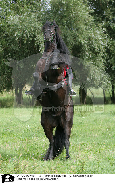 Frau mit Friese beim Showreiten / woman with friesian horse at show / SS-02759