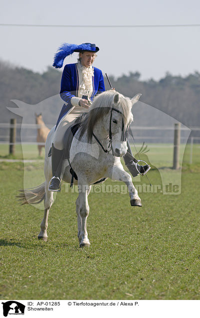 Showreiten / Showriding / AP-01285