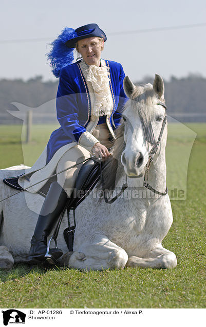 Showreiten / AP-01286