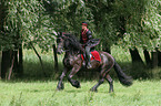 Frau mit Friese beim Showreiten