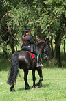 Frau mit Friese beim Showreiten