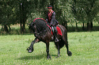 Frau mit Friese beim Showreiten