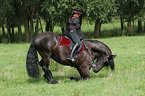 Frau mit Friese beim Showreiten