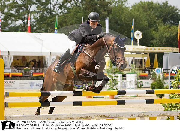 REDAKTIONELL - Balve Optimum 2006 - Springprfung 04.08.2006 / TH-01002
