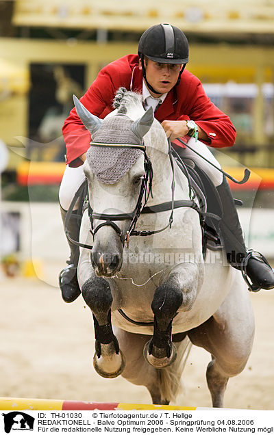 REDAKTIONELL - Balve Optimum 2006 - Springpr�fung 04.08.2006 / TH-01030