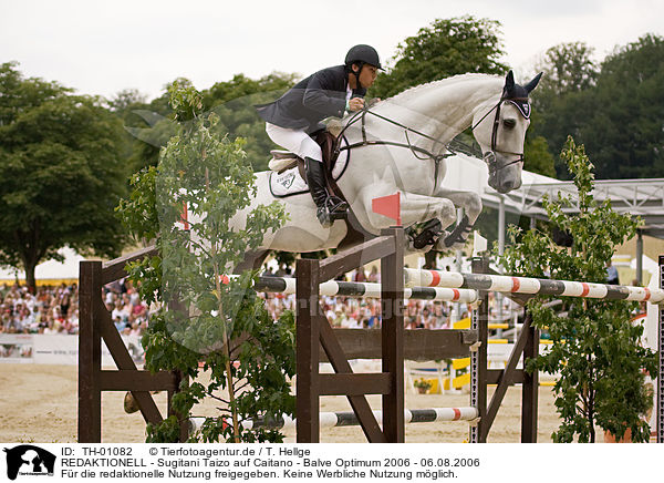 REDAKTIONELL - Sugitani Taizo auf Caitano - Balve Optimum 2006 - 06.08.2006 / EDITORIAL - Sugitani Taizo auf Caitano - Balve Optimum 2006 - 06.08.2006 / TH-01082