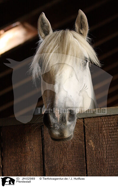 Pferdestall / horse barn / JH-02989