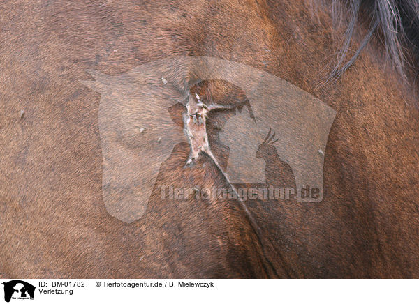 Verletzung / injury / BM-01782