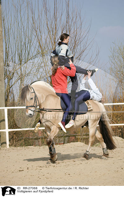 Voltigieren auf Fjordpferd / vaulting / RR-27068