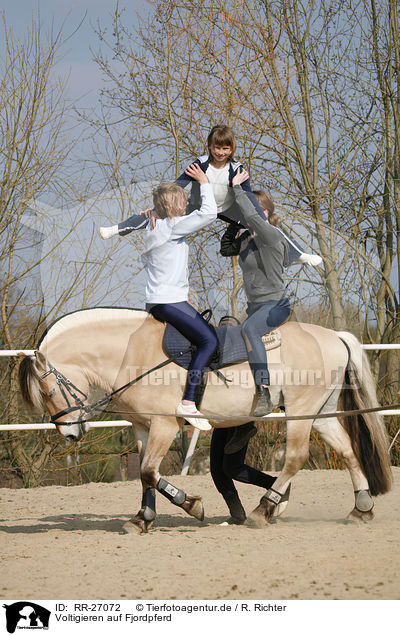 Voltigieren auf Fjordpferd / vaulting / RR-27072