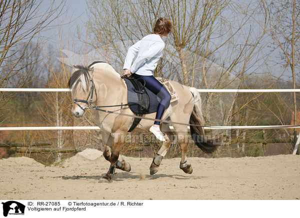 Voltigieren auf Fjordpferd / vaulting / RR-27085