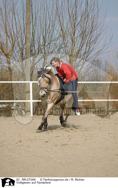 Voltigieren auf Fjordpferd / vaulting / RR-27088