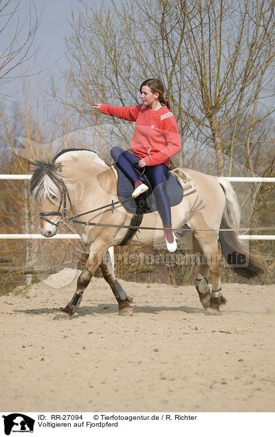 Voltigieren auf Fjordpferd / vaulting / RR-27094