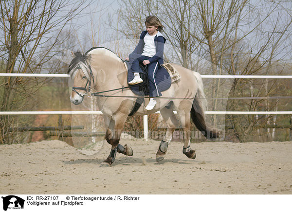 Voltigieren auf Fjordpferd / vaulting / RR-27107