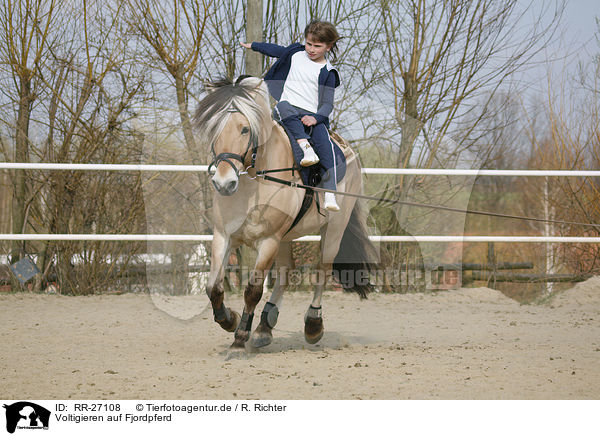 Voltigieren auf Fjordpferd / vaulting / RR-27108