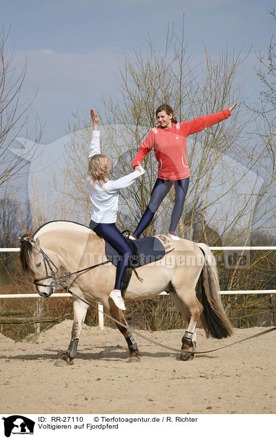 Voltigieren auf Fjordpferd / vaulting / RR-27110