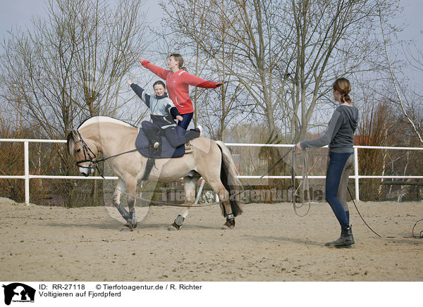 Voltigieren auf Fjordpferd / vaulting / RR-27118