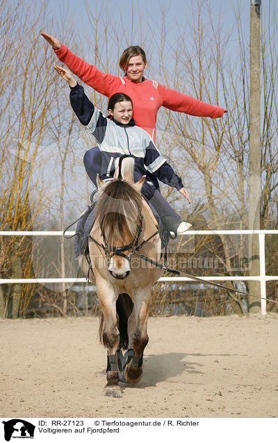Voltigieren auf Fjordpferd / RR-27123