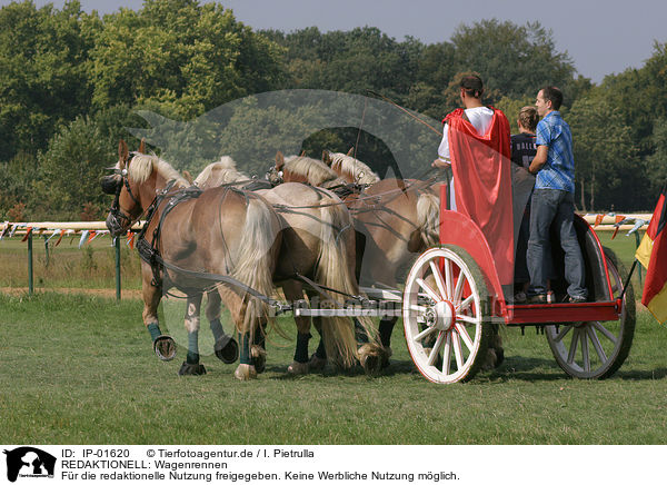 REDAKTIONELL: Wagenrennen / IP-01620