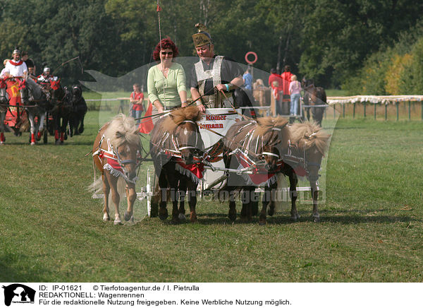 REDAKTIONELL: Wagenrennen / EDITORIAL: chariot race / IP-01621