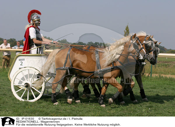 REDAKTIONELL: Wagenrennen / EDITORIAL: chariot race / IP-01630