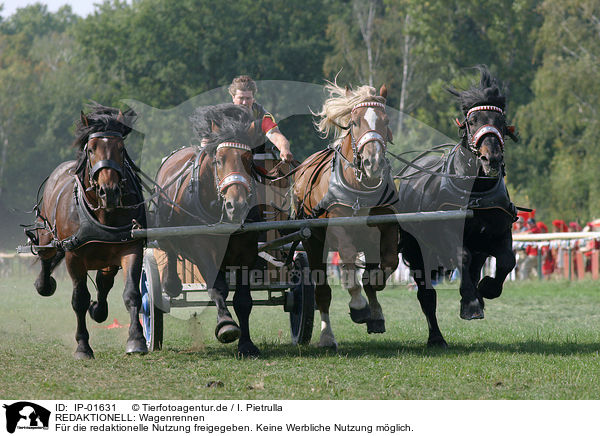 REDAKTIONELL: Wagenrennen / IP-01631