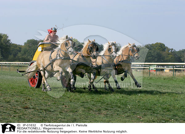 REDAKTIONELL: Wagenrennen / EDITORIAL: chariot race / IP-01632