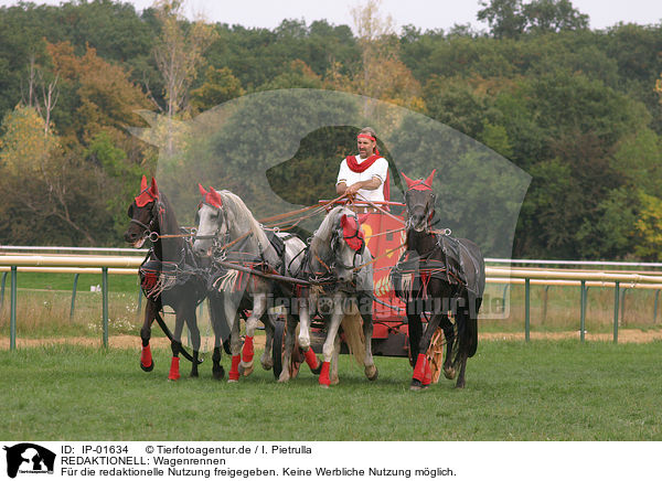 REDAKTIONELL: Wagenrennen / EDITORIAL: chariot race / IP-01634