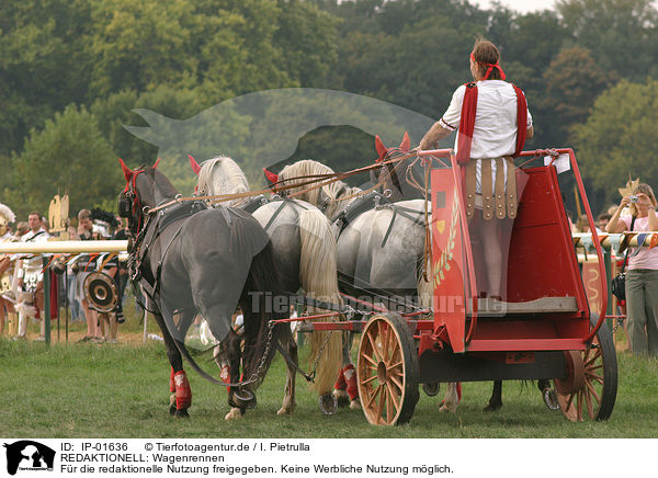 REDAKTIONELL: Wagenrennen / EDITORIAL: chariot race / IP-01636