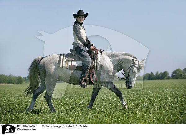 Westernreiter / western rider / RR-14070