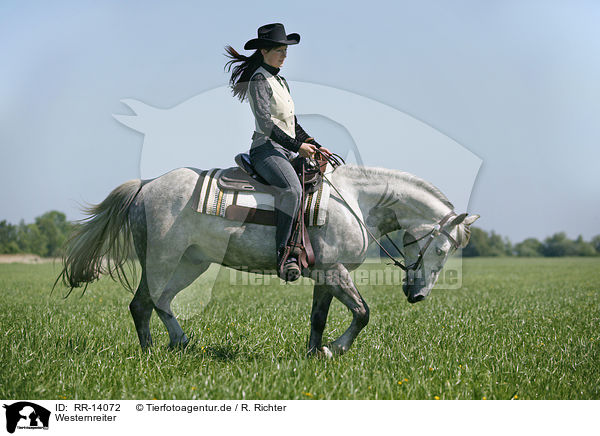 Westernreiter / western rider / RR-14072