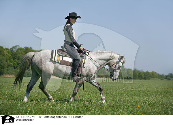 Westernreiter / western rider / RR-14074
