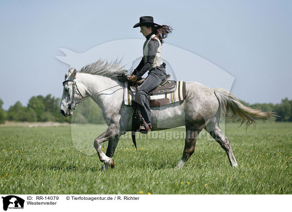 Westernreiter / western rider / RR-14079