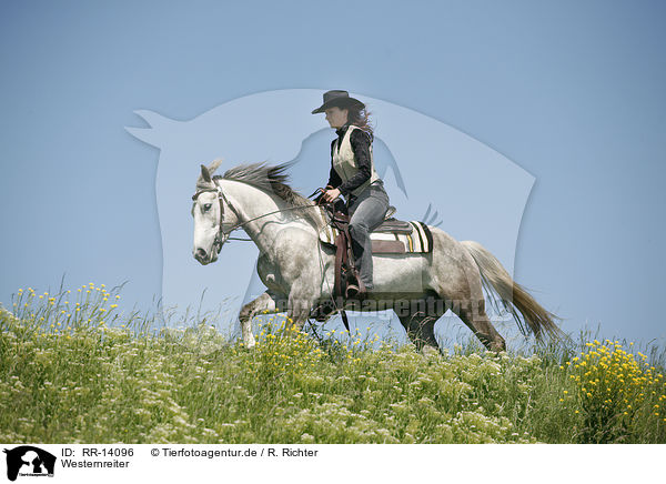 Westernreiter / western rider / RR-14096