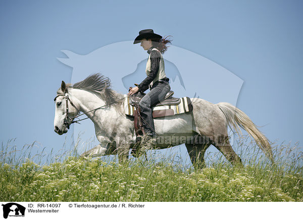 Westernreiter / western rider / RR-14097
