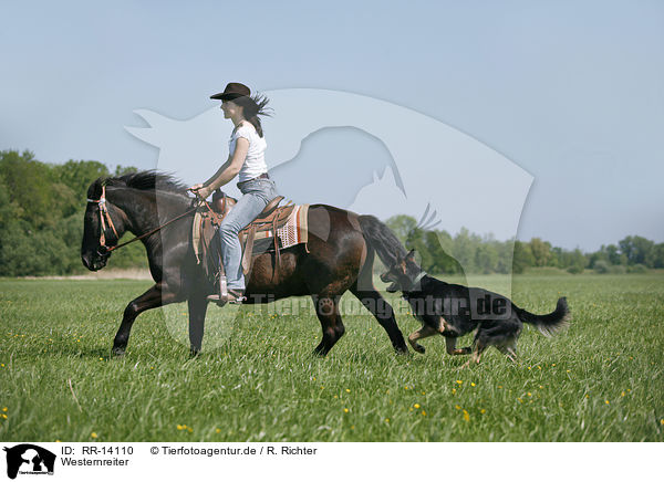 Westernreiter / western rider / RR-14110