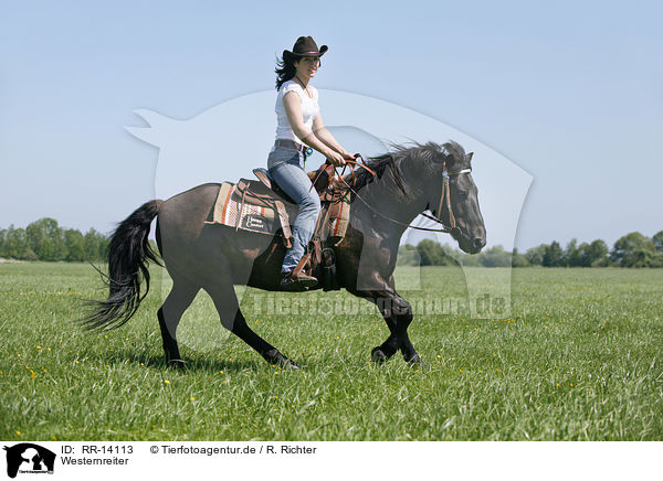Westernreiter / western rider / RR-14113