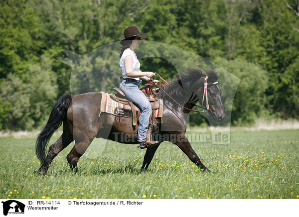 Westernreiter / western rider / RR-14114